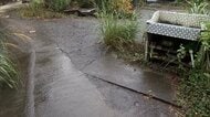 クマに襲われ93歳の女性がけが　「庭先で襲われた」以前にも1頭駆除　山梨・市川三郷町