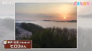 【お天気図鑑】神戸市「春の絶景」