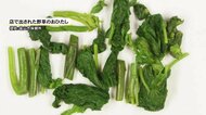 “山菜採りのベテラン”が間違える…おひたしに有毒植物『トリカブト』食用山菜との見分けは「山では困難」