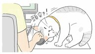 【猫あるある漫画】なんでそんなに猫しぐさ　第5回「なぜ邪魔してくるの…？ネコハラに屈する」