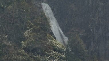 「正式な滝としては認定されていない」のに落差日本一超え　称名滝の隣に現れた「幻の滝…