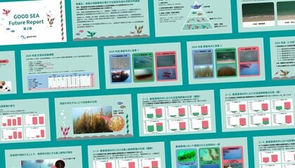 海藻養殖は「生態系を拡張する」 全国6海域の定量調査で初めて実証。「GOOD SEA Future Report 第2弾」公開