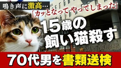 鳴き声に腹を立て「ネコ殺しちゃいました」　高齢ネコを蹴ったり、棒で殴ったり、床に叩きつけたりして殺した70代男　起訴を求める“厳重処分”の意見を付して書類送検　「カッとなって苛立ってやってしまった」