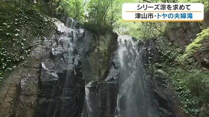 【涼を求めて】６）夫婦のように寄り添う津山市「トヤの夫婦滝」　清らかな渓流で子供たちが水遊び【岡山】