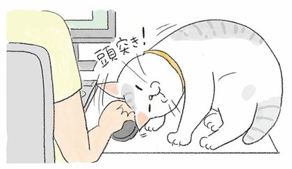 【猫あるある漫画】なんでそんなに猫しぐさ　第5回「なぜ邪魔してくるの…？ネコハラに屈する」