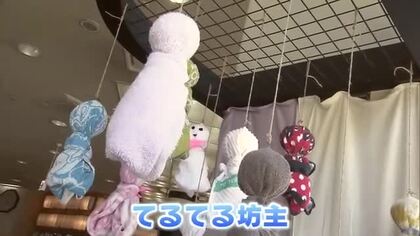 温泉施設利用客の忘れ物が「てるてる坊主」に！梅雨の季節に広がるノスタルジックな光景【岡山・倉敷市】