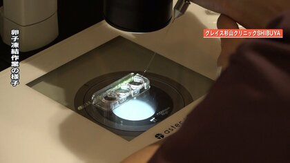 【解説】全国初！都の“卵子凍結”助成金説明会に5000人超  選択肢の一つになる？ 矢沢心氏「説明会によって必要な人が一歩進める」