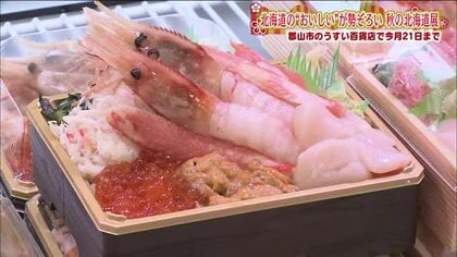 北海道の美味しいが一堂に　「秋の北海道物産展」始まる　旬の味覚が人気　10月21日まで　福島・郡山市