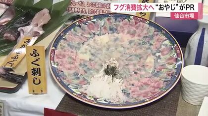 漁獲量１０年で４倍増　三陸沖トラフグの消費拡大へ　試食会開催　「仙台ふぐおやじ」が地産地消推進　宮城