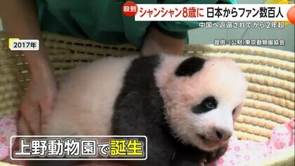 殺到】中国返還から2年…パンダ「シャンシャン」8歳の誕生日に日本から