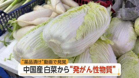 “中国産白菜”に発がん性物質「ホルムアルデヒド」“薬品漬け”動画で発覚　韓国のキムチに“飛び火”　日本への影響は？厚労省「現状は検査していない」