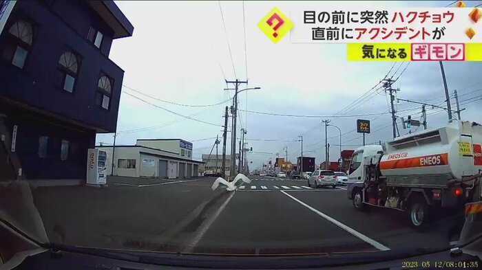 ハクチョウが飛び立っていく(FNN投稿サイト「ビデオPost」)