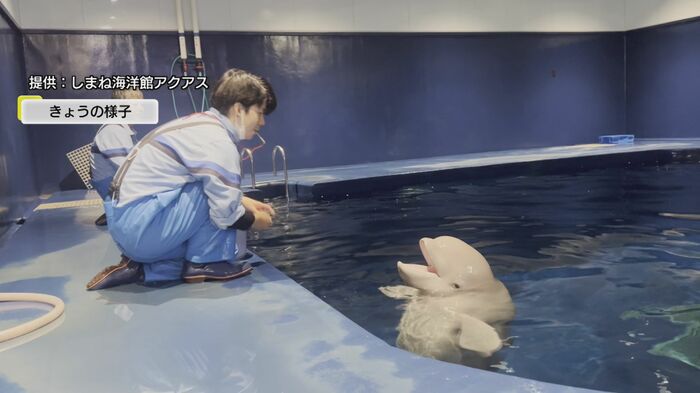 今後はトレーニングを重ねていく予定