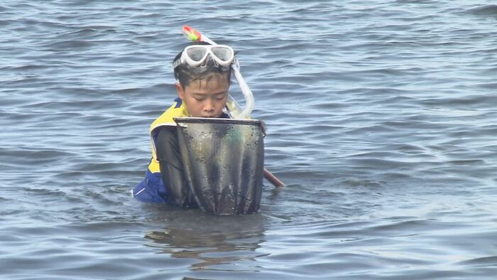 海について学ぶ体験イベント
