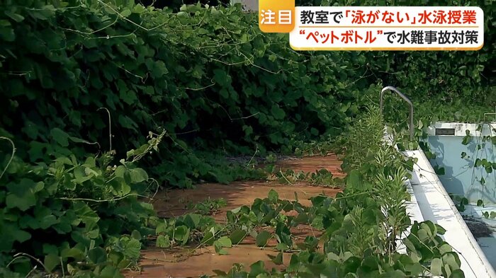 草木が生い茂る中学校のプール（静岡・沼津市）