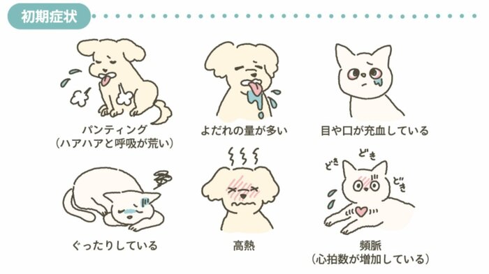 熱中症の初期症状が疑われるサイン