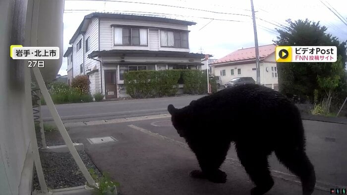 岩手・北上市で目撃されたクマ(27日)