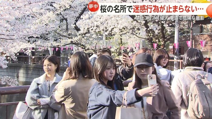 目黒川の橋の上は大勢の花見客であふれていた