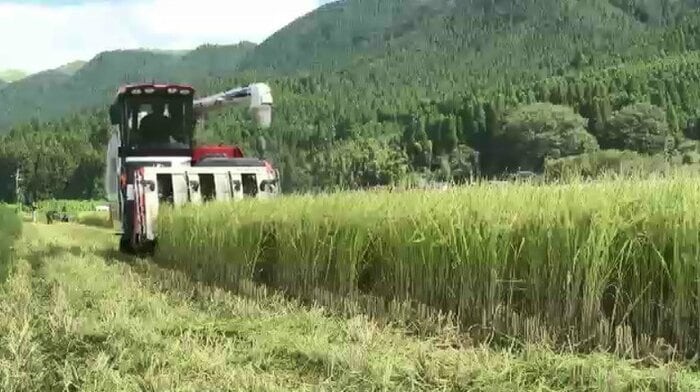 コメ不足が全国的な問題に