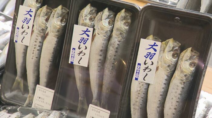 スーパーで売られるイワシ
