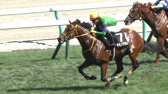 クローバー賞を制したニタモノドウシ