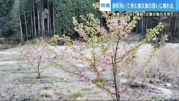中村さんたちが植えた「復興を願う桜」