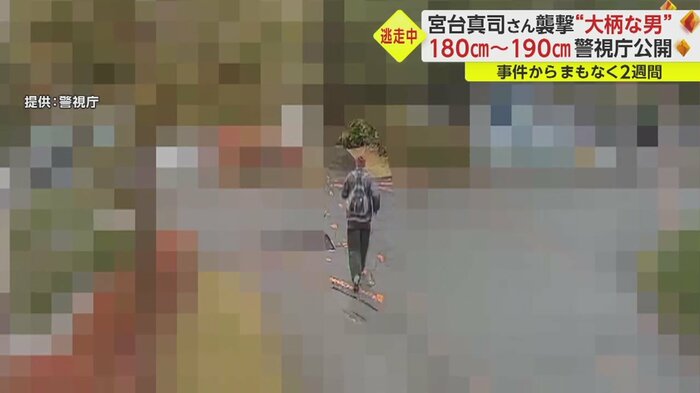 一瞬振り返った後に走り出した