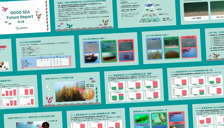 海藻養殖は「生態系を拡張する」 全国6海域の定量調査で初めて実証。「GOOD SEA Future Report 第2弾」公開