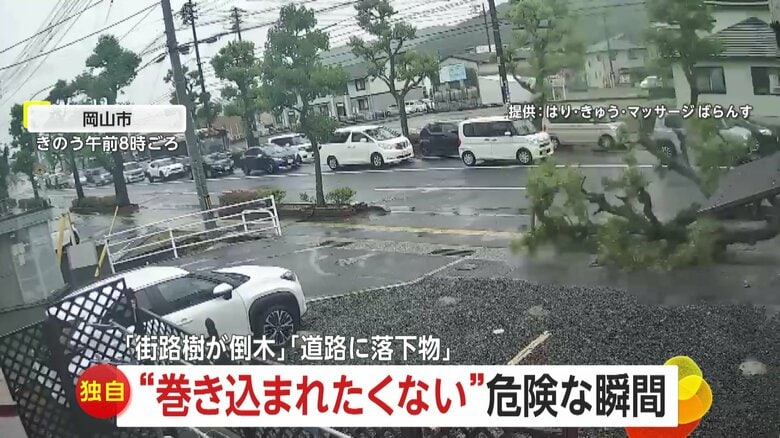 【独自】“巻き込まれたくない”約7メートルの街路樹が倒木する瞬間　トラック荷台から金属片落下し危険回避する後続車も　岡山・埼玉｜FNNプライムオンライン