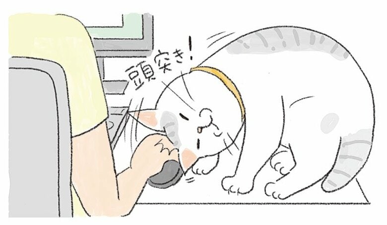 【猫あるある漫画】なんでそんなに猫しぐさ　第5回「なぜ邪魔してくるの…？ネコハラに屈する」｜FNNプライムオンライン