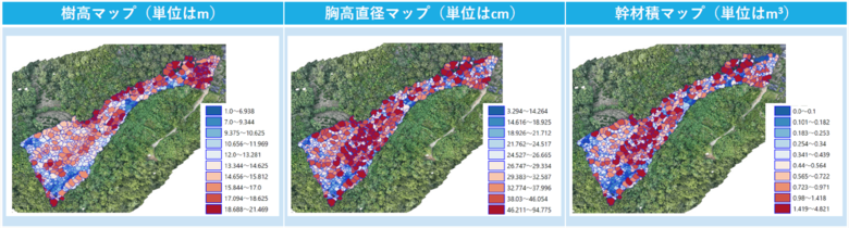 鹿島・太良広域連携SDGs推進協議会における「多良岳広葉樹資源解析業務」の取り組み結果について