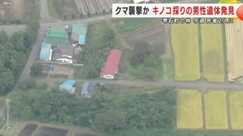 クマ襲撃か、キノコ採りの71歳男性の遺体を発見　雫石町の林　1週間で死者2人に　岩手県｜FNNプライムオンライン