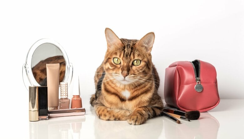 人気メイクアップアーティストは小田切ヒロ一強時代へ。ウォン・ジョンヨ台頭に見る、キャラクター支持からの支流とは？