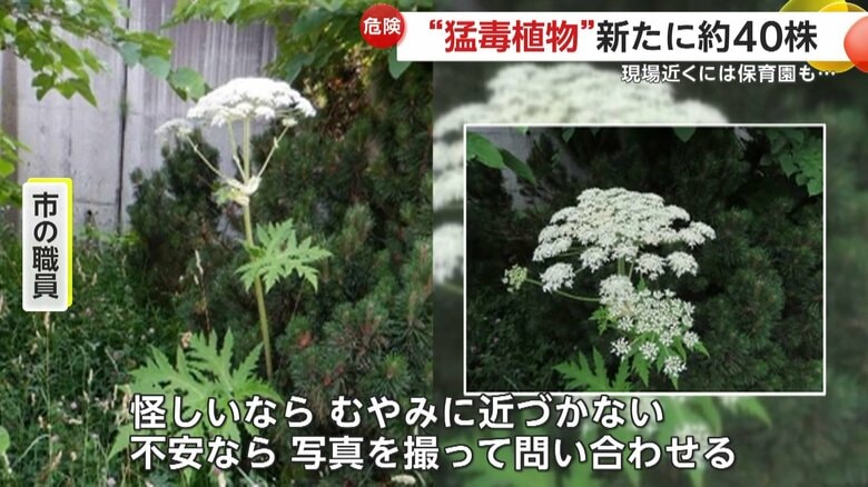 「もし怪しいなと思ったらむやみに近づかないで」と市民に呼びかけている市の職員