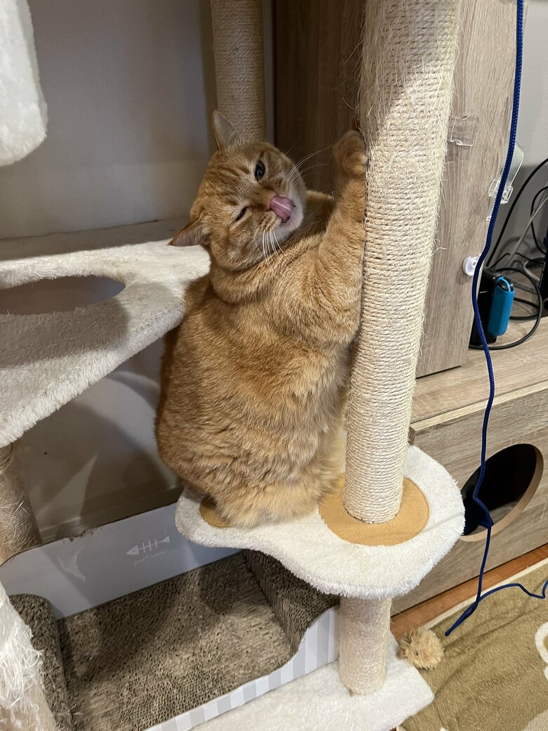 提供：すずつむふうさん