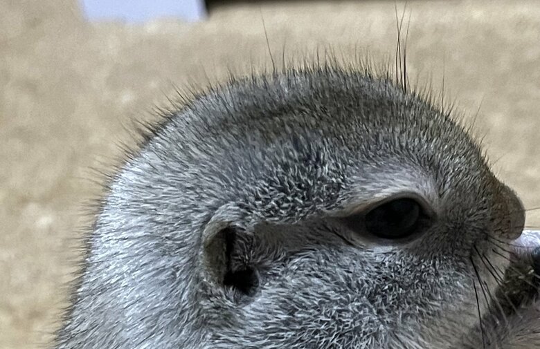 2枚目の写真