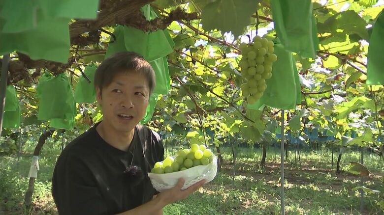 たすくファーム 後藤勇人社長