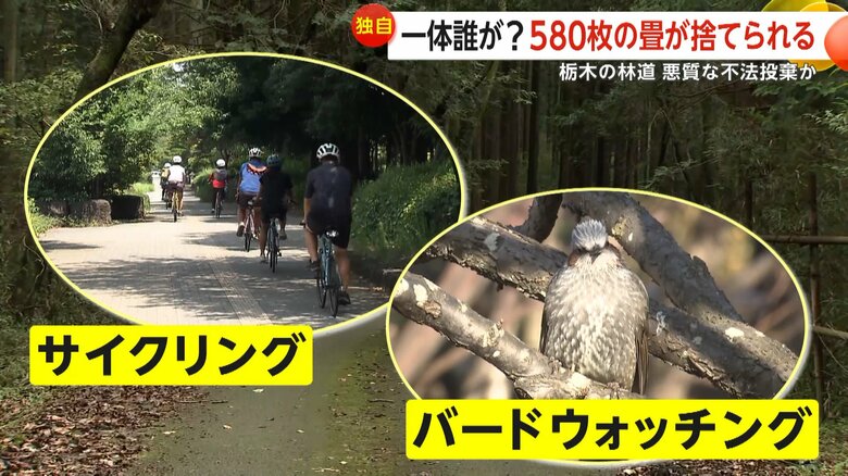 サイクリングやバードウォッチングを楽しむ人が多く訪れるスポット