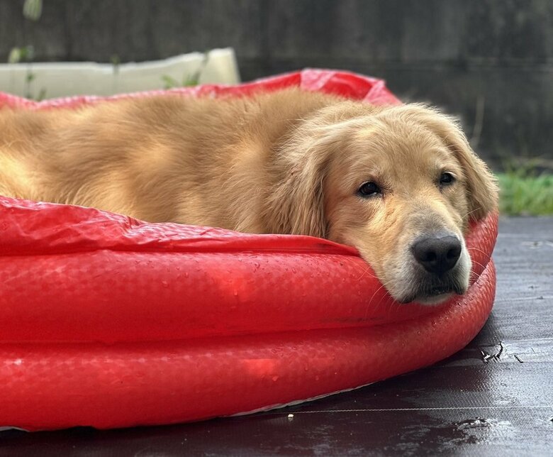 プール気持ちいい