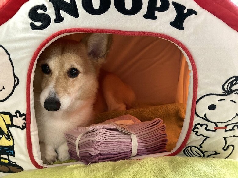 一度自分の小屋へお持ち帰り