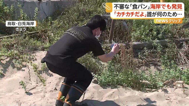 24日　鳥取・白兎海岸