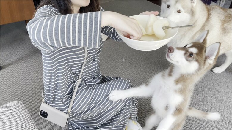 果物をもらう2頭