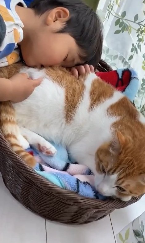 提供：Hassakuさん