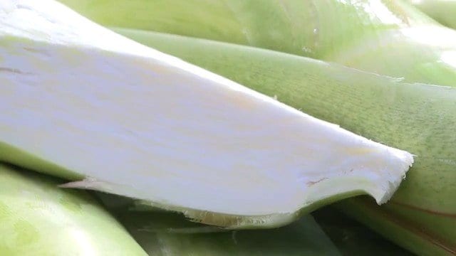 マコモダケの断面 白い部分を食べる