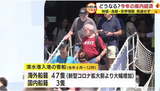 清水港に入港した豪華客船