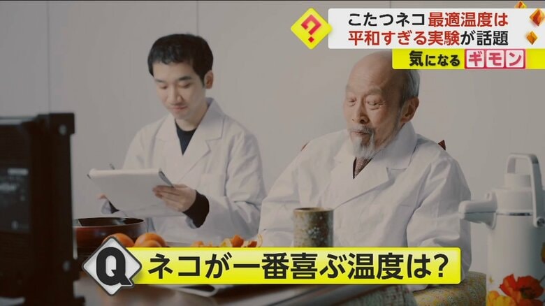 「よくわかりませんでした」と実験結果を発表する調査員