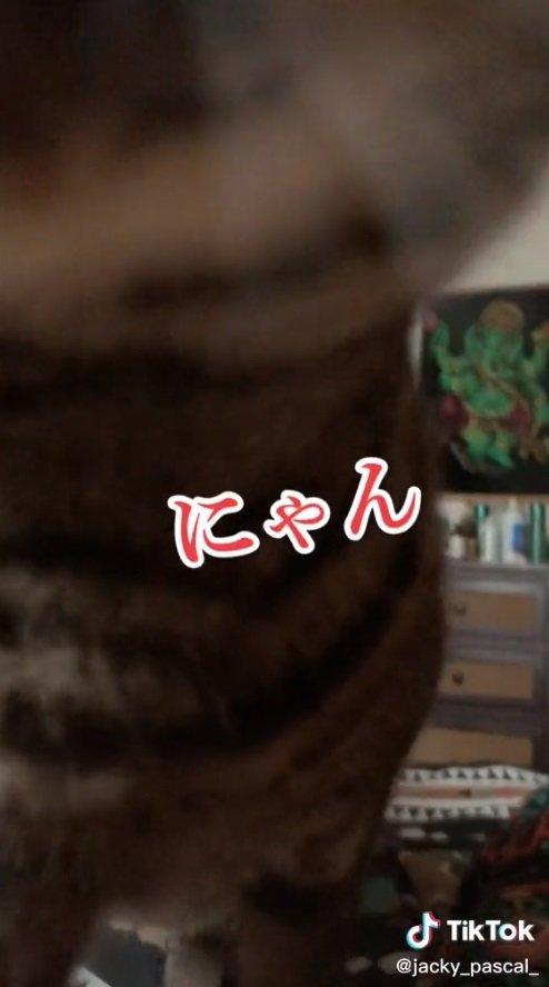 突然大接近！