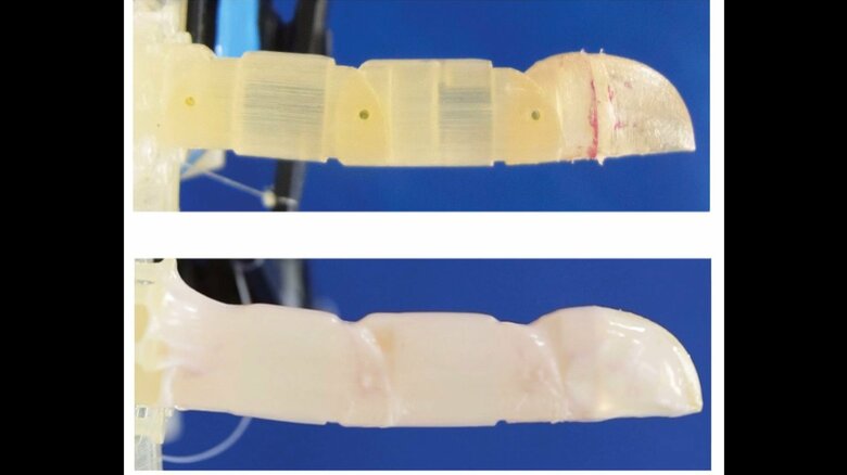 指型ロボットの周囲に人の皮膚細胞を培養･増殖する方法を発見（提供:東京大学）