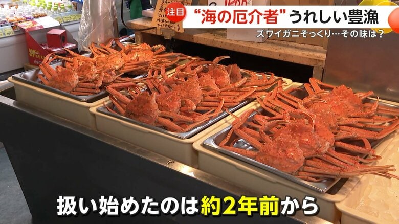 約2年前からオオズワイガニを扱い始めた「みどりスーパー」