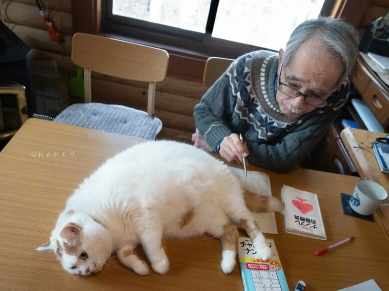 お父さんの邪魔をするメイくん（提供：MARCOさん）